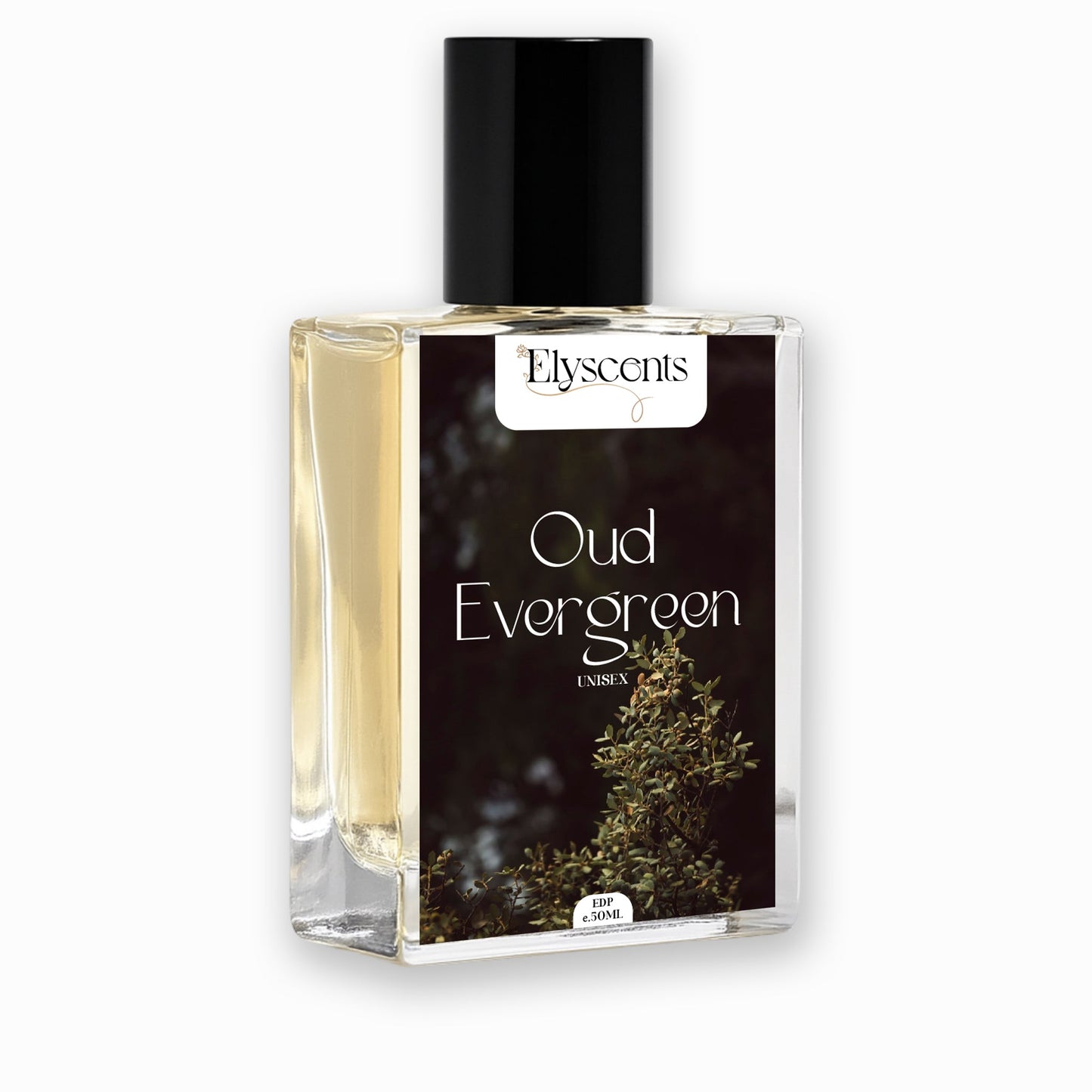 Oud Evergreen inspired by White Oud