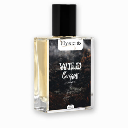Wild Current - INSPIRED BY Aqua Di Gio Armani